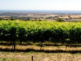 Accommodation Tasmania