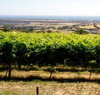 Braydun Hill Vineyard - Accommodation Tasmania