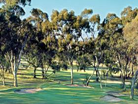 Tanunda Pines Golf Club - Accommodation Tasmania 0