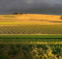 Kellermeister Wines - Accommodation Tasmania