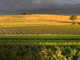 Kellermeister Wines - Accommodation Tasmania 0