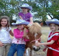 Amberainbow Pony Rides - Accommodation Tasmania