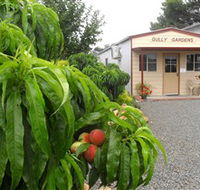 Gully Gardens - Accommodation Tasmania