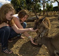 Kangaroo Island Wildlife Park - Accommodation Tasmania