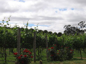  Accommodation Tasmania