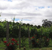 Manyara Vineyard - Accommodation Tasmania