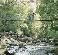 Arve Forest Drive - Accommodation Tasmania