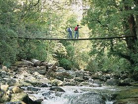 Arve Forest Drive - Accommodation Tasmania 0