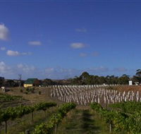 Deep Creek Wines and Alpacas - Accommodation Tasmania