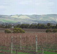Mclaren Vale Premium Wines - Accommodation Tasmania