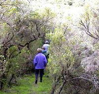 Jack And Hilda McArthur Walk - Accommodation Tasmania