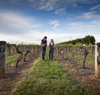 Coonawarra Wineries Walking Trail - Accommodation Tasmania