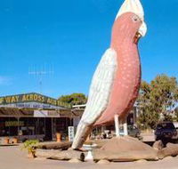 The Big Galah - Accommodation Tasmania