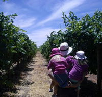 McLaren Vale Orchards - Accommodation Tasmania
