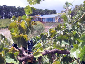 Fleurieu Peninsula SA Accommodation Tasmania