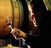 Salena Estate Wines - Accommodation Tasmania