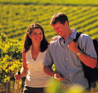 Tinlins Wines Pty Ltd - Accommodation Tasmania