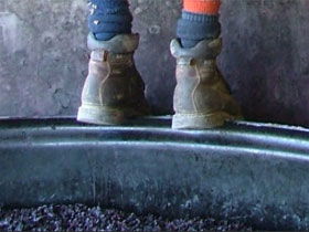 Fall From Grace - Accommodation Tasmania 0