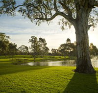 Serafino Wines - Accommodation Tasmania