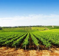 Aldinga Bay Winery - Accommodation Tasmania