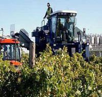 Ballast Stone Estate Wines Pty Ltd - Accommodation Tasmania