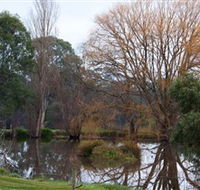 Gemtree Wetlands Ecotrail - Accommodation Tasmania