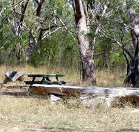 Penola Conservation Park - Accommodation Tasmania
