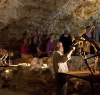 Naracoorte Caves National Park - Accommodation Tasmania