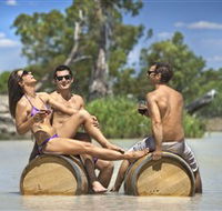 Caudo Vineyard Cellar Door - Accommodation Tasmania