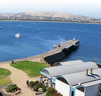 Granite Island Nature Park - Guided Penguin Tours - Accommodation Tasmania