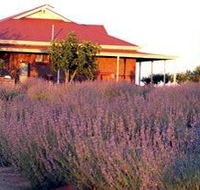 Bella Lavender Estate - Accommodation Tasmania