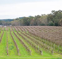 Dennis Wines - Accommodation Tasmania