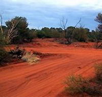 Tallaringa Conservation Park - Accommodation Tasmania