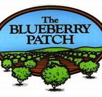 The Blueberry Patch - Accommodation Tasmania