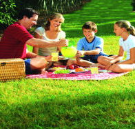 Bruny Island Berry Farm - Accommodation Tasmania