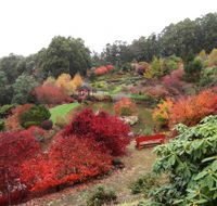 Emu Valley Rhododendron Garden - Accommodation Tasmania
