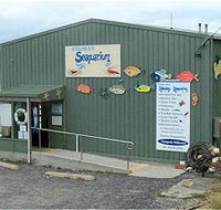 Stanley Seaquarium - Accommodation Tasmania