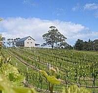 Bruny Island Premium Wines Bar and Grill - Accommodation Tasmania
