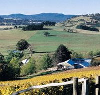 Freycinet Vineyards Pty Ltd - Accommodation Tasmania