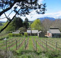 Wilmot Hills Vineyard - Accommodation Tasmania