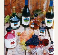 Hartzview Vineyard - Accommodation Tasmania