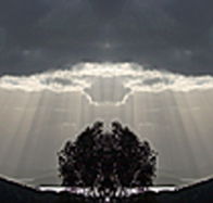 aart. Gallery of Fine Art - Accommodation Tasmania