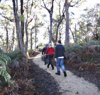 Bridport Walking Track - Accommodation Tasmania