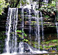 Mt Field National Park - Accommodation Tasmania
