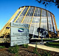 Forest EcoCentre - Accommodation Tasmania