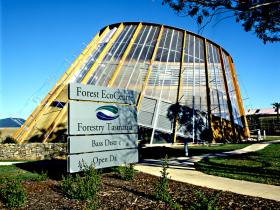 Forest EcoCentre - Accommodation Tasmania 0