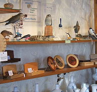Touchwood Craft Gallery Gifts and Cafe - Accommodation Tasmania