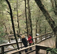 Franklin River Nature Trail - Accommodation Tasmania