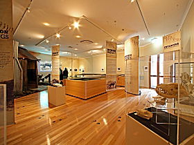 Tasmanian Tiger Exhibition - Accommodation Tasmania 0