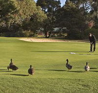 Royal Hobart Golf Club - Accommodation Tasmania